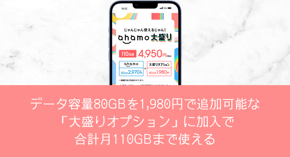 大盛りオプション契約で月110GBまで使える