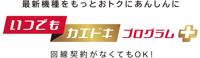 いつでもカエドキプログラム